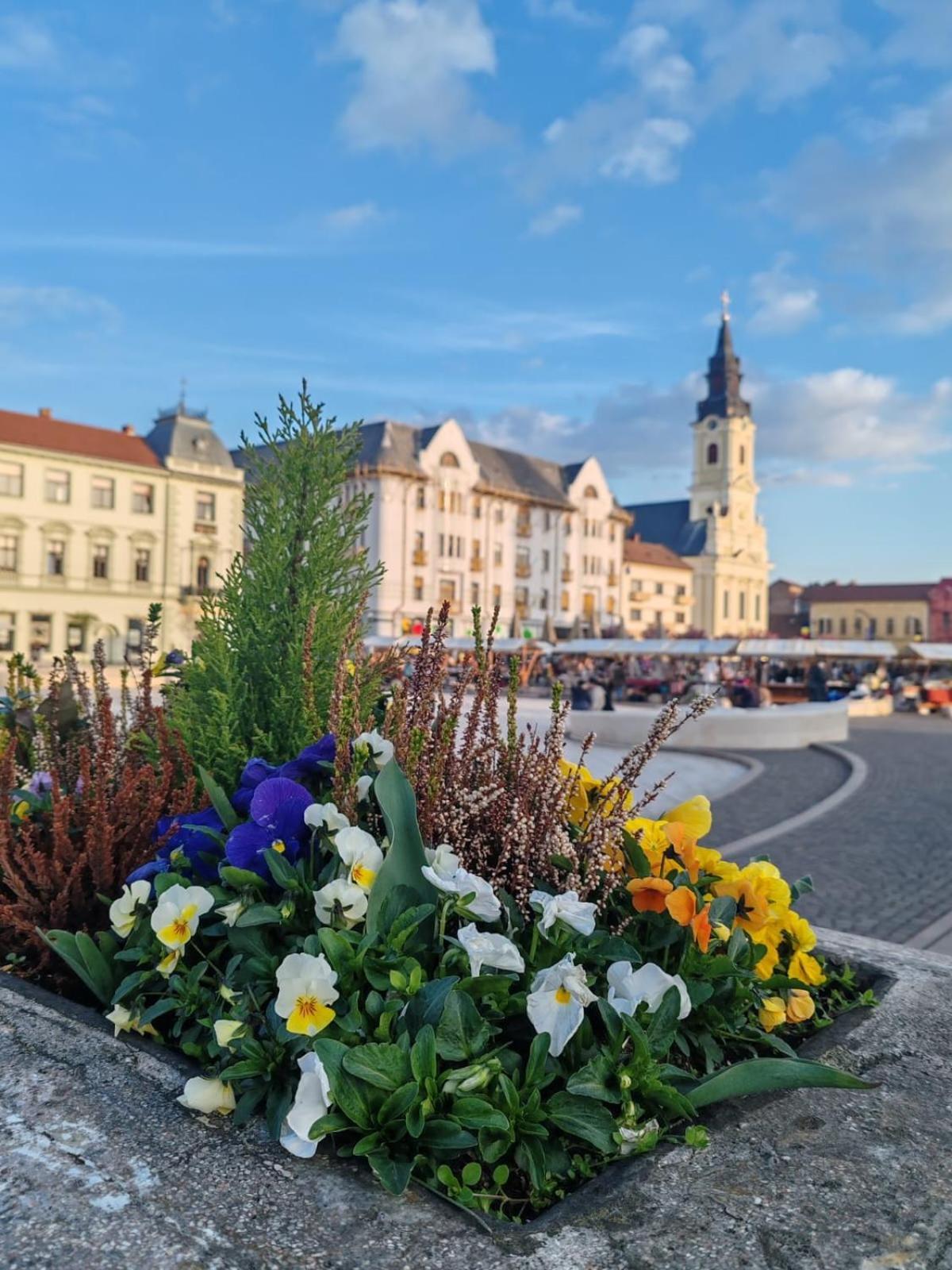 Victoria Apartment 1901 Oradea Exterior foto